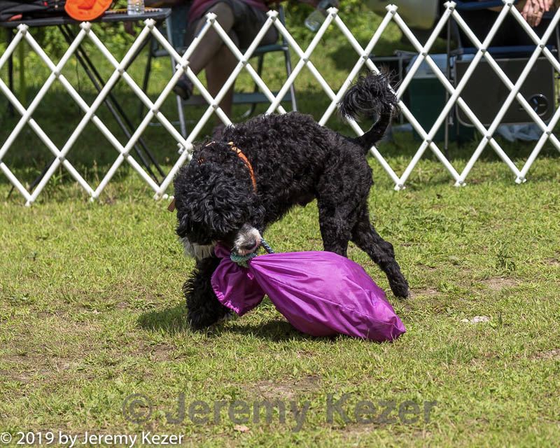 20190817-wwd-0121.jpg