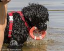 20190818-awd-0017
