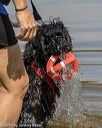 20190818-awd-0019