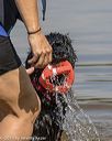 20190818-awd-0020