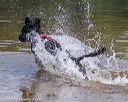 20190818-awd-0026