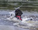 20190818-awd-0040