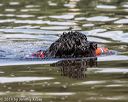 20190818-awd-0043