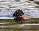 20190818-awd-0044