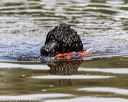 20190818-awd-0045