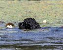 20190818-awd-0046