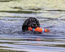 20190818-awd-0056