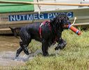 20190818-awd-0072
