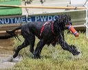 20190818-awd-0073