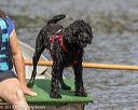 20190818-awd-0094