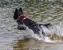 20190818-awd-0112
