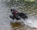 20190818-awd-0113