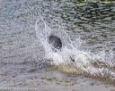 20190818-awd-0116