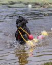 20190818-awd-0139