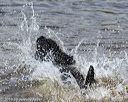 20190818-awd-0187