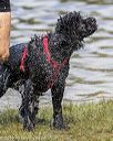 20190818-awd-0218