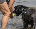 20190818-awd-0235