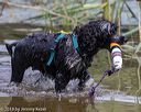 20190818-awd-0256