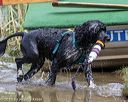 20190818-awd-0262