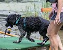 20190818-awd-0275