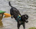 20190818-awd-0290