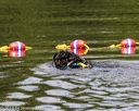 20190818-awd-0293