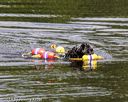 20190818-awd-0296