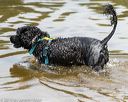 20190818-awd-0329