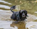 20190818-awd-0338