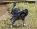 20190818-awd-0352