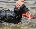 20190818-awd-0367