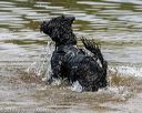 20190818-awd-0445