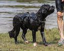 20190818-awd-0468