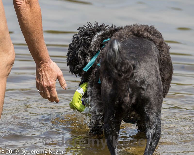 20190818-awd-0228.jpg