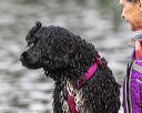 20190818-cwd-0010