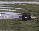 20190818-cwd-0041