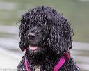 20190818-cwd-0043