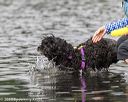 20190818-cwd-0047