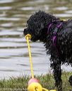 20190818-cwd-0081