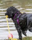 20190818-cwd-0084