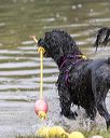 20190818-cwd-0086