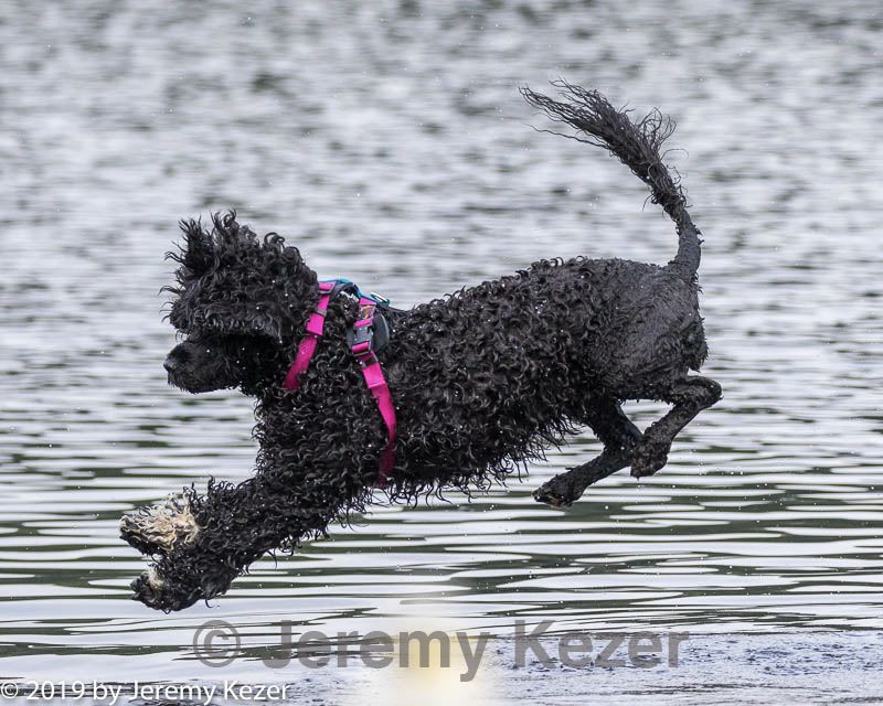 20190818-cwd-0007.jpg