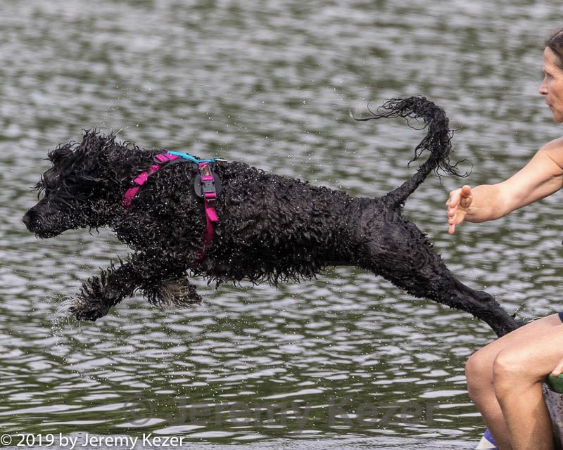 20190818-cwd-0027.jpg