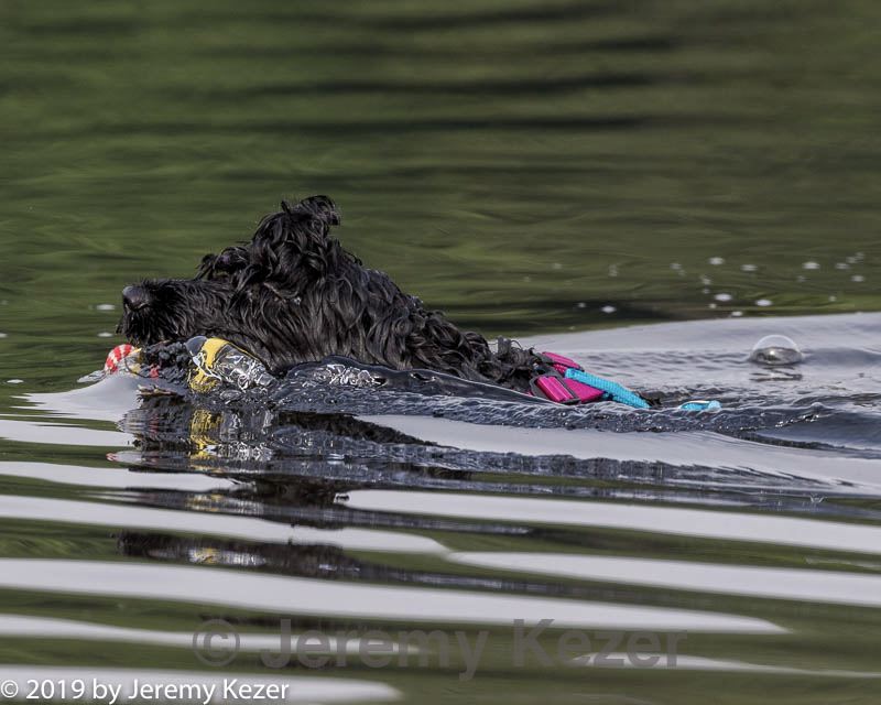 20190818-cwd-0032.jpg
