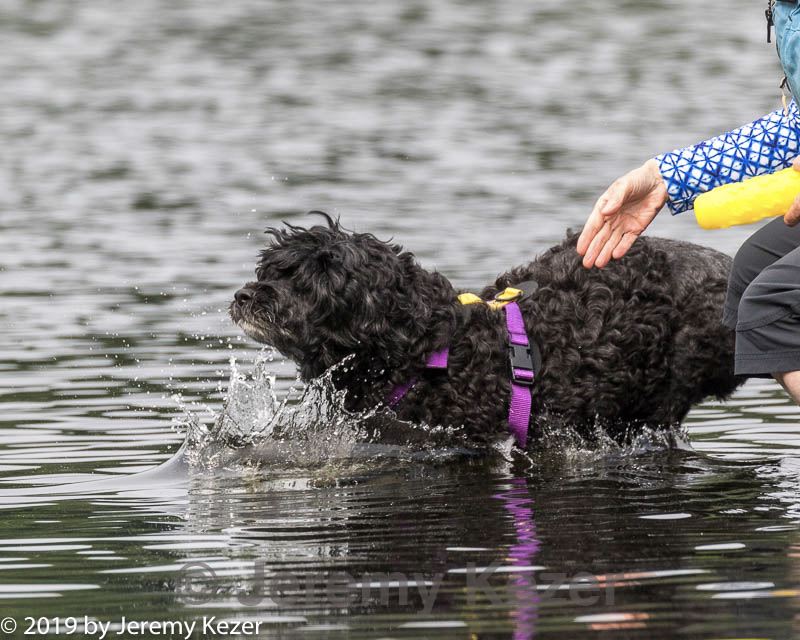 20190818-cwd-0047.jpg