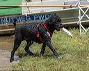 20190818-jwd-0026