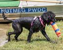 20190818-jwd-0137
