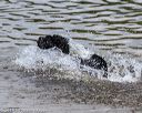 20190818-jwd-0157