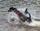 20190818-jwd-0230