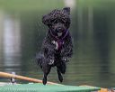 20190818-mwd-0006